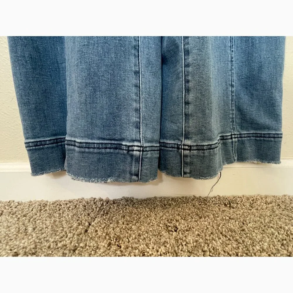 Anthropologie Pilcro and the Letterpress Denim Overall Jumpsuit Size 8 - Picture 10 of 13